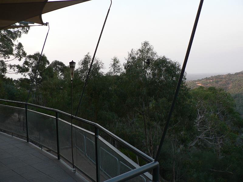 P1000586.JPG - View from the main balcony. Koala near the top of the small gum tree.
