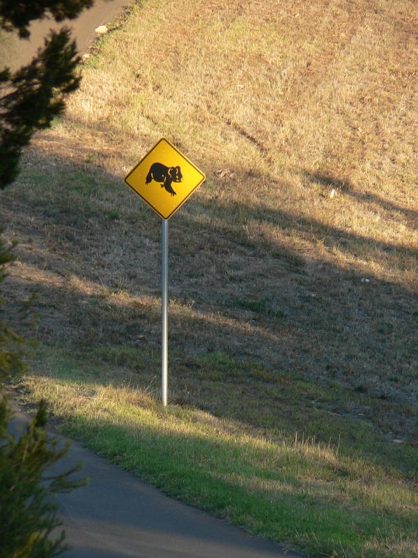 P1000715.JPG - Watch out for the local landowners...