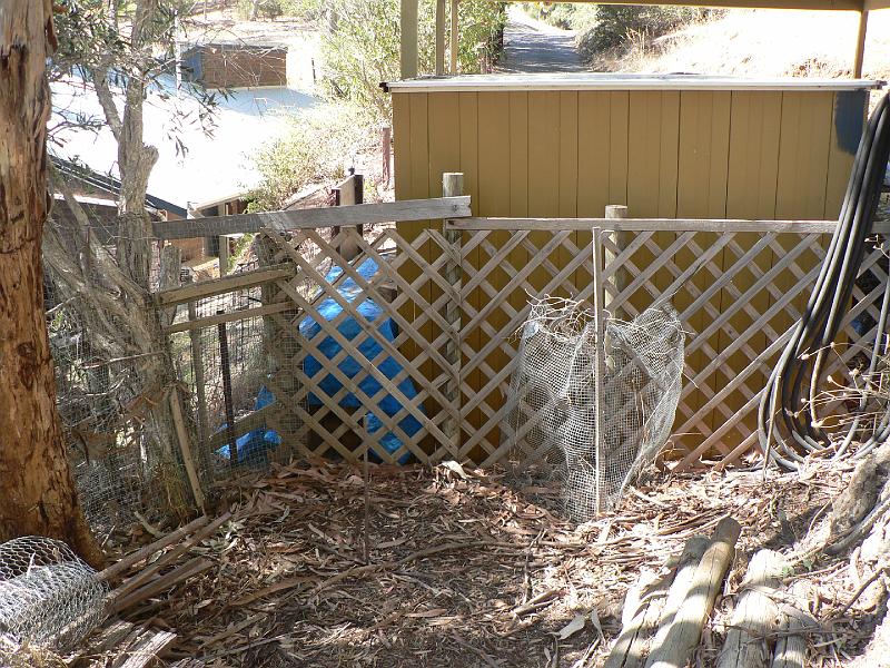 P1000898.JPG - The proposed site: the plusses: fairly flat; the minuses: fence is in the wrong place, neighbor's shed is partly on my land, tree needs felling, and though close to driveway, may need a crane to lift it into place.