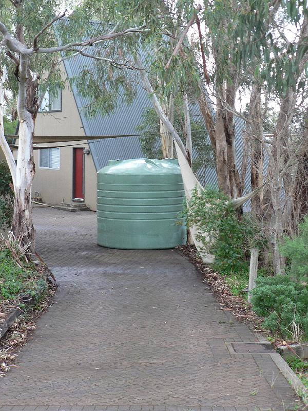 P1010009.JPG - Hey presto. As if by magic. 6 weeks early, this is where it would sit for several months while I prepared it's final resting place. 6m to the right, and 3 m down. With a few obstacles in the way like a 3x3m garden shed.